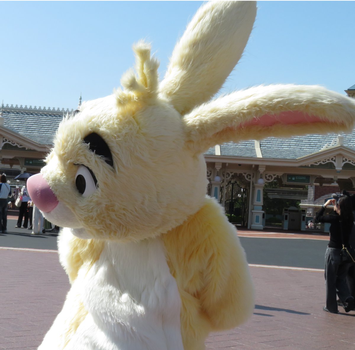 ばね＠Ｄ tweet media