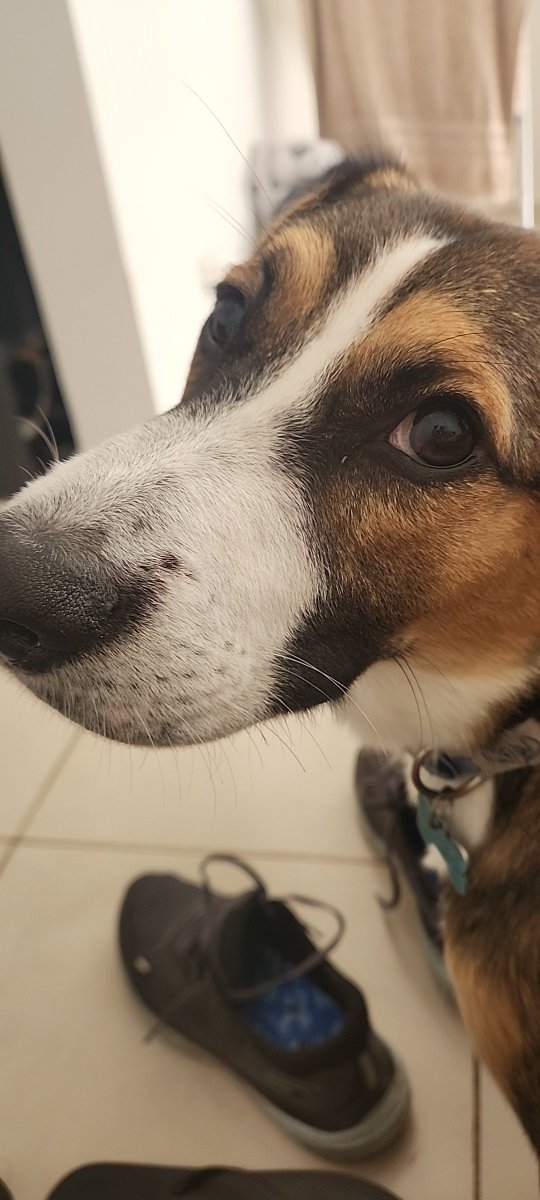 carito🇦🇷⭐⭐⭐ tweet media