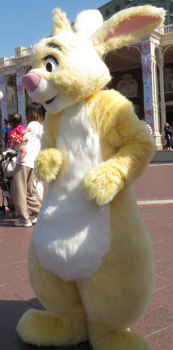 ばね＠Ｄ tweet media