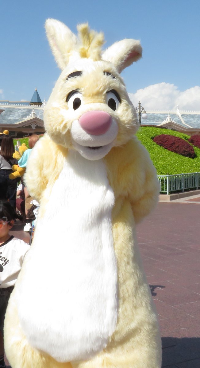 ばね＠Ｄ tweet media