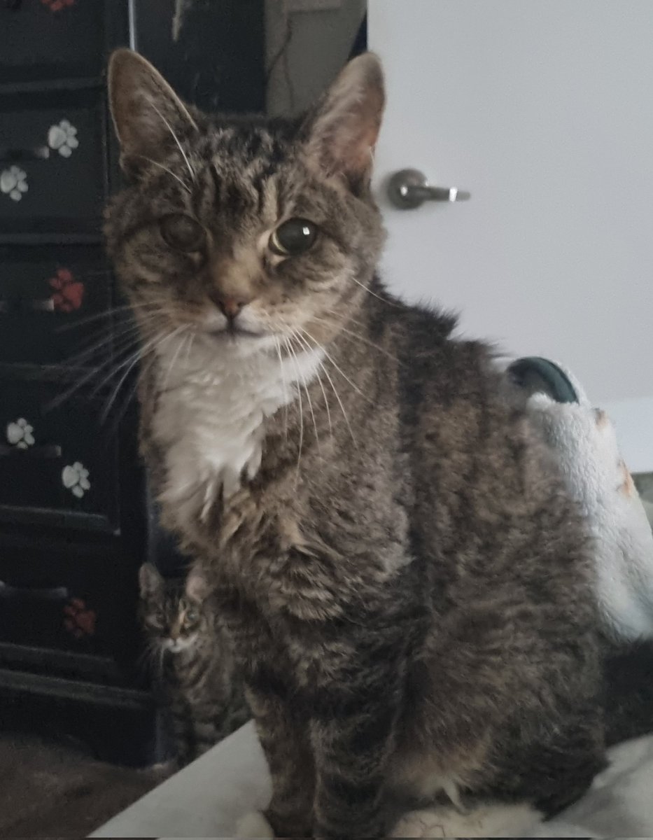 Yefluga 🇺🇸 tweet media