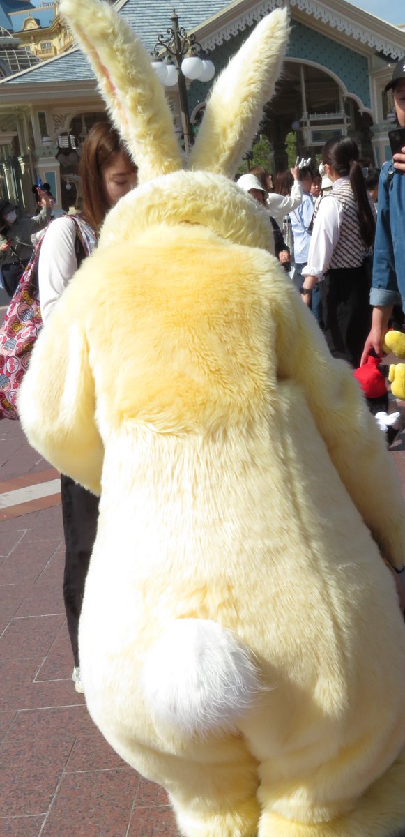 ばね＠Ｄ tweet media