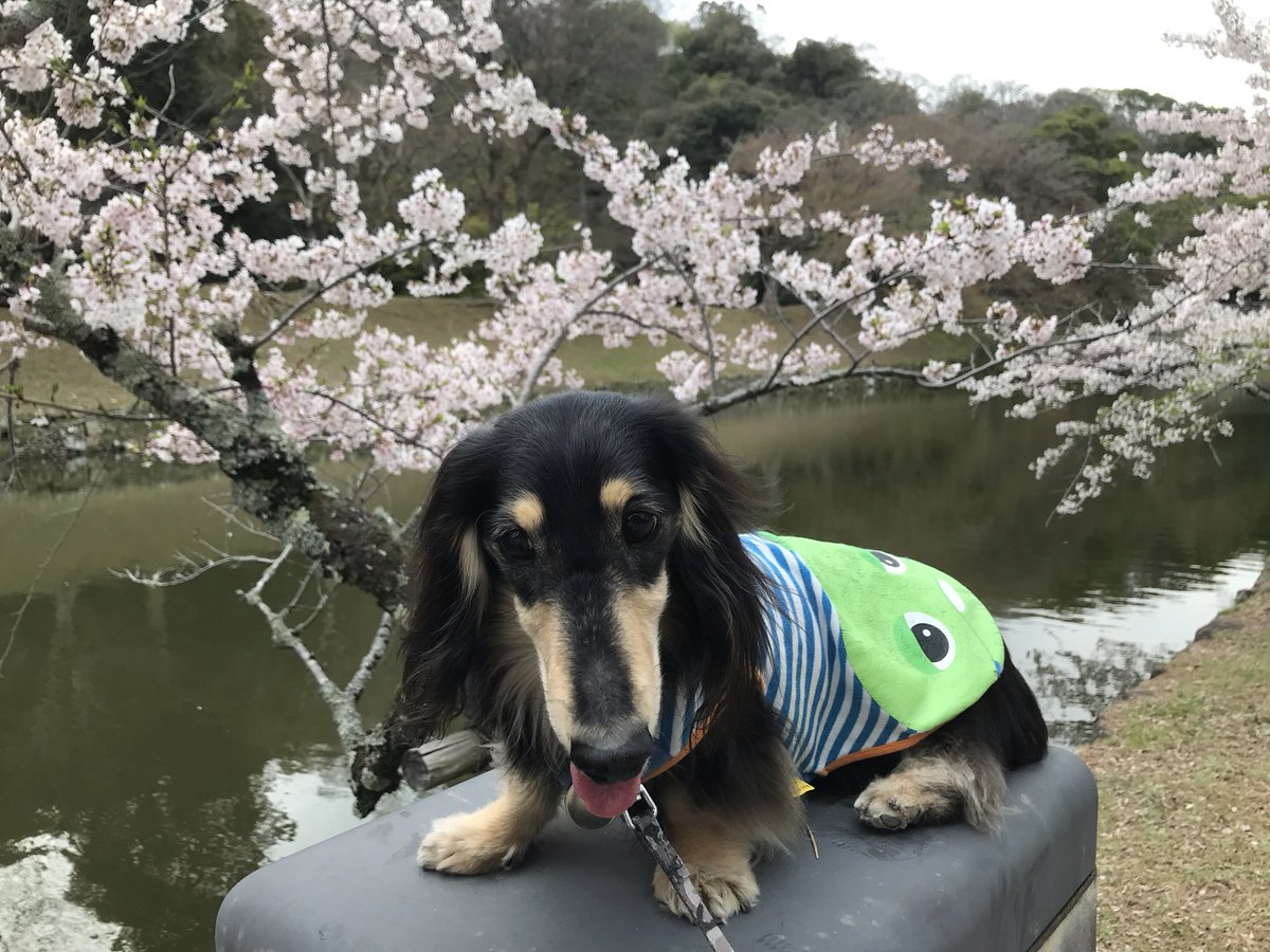 フィッシング  スポーツ  なかにし tweet media