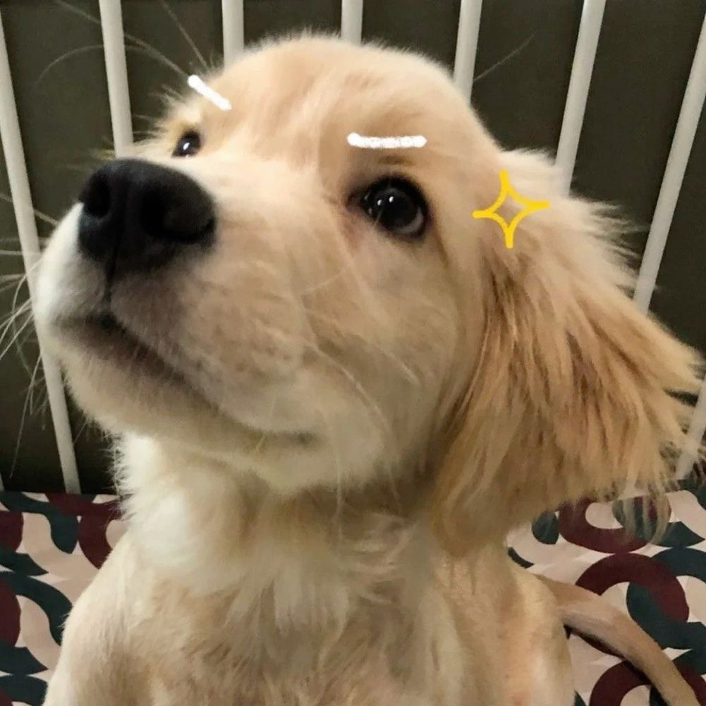 clip.. (상태 : 엥) tweet media