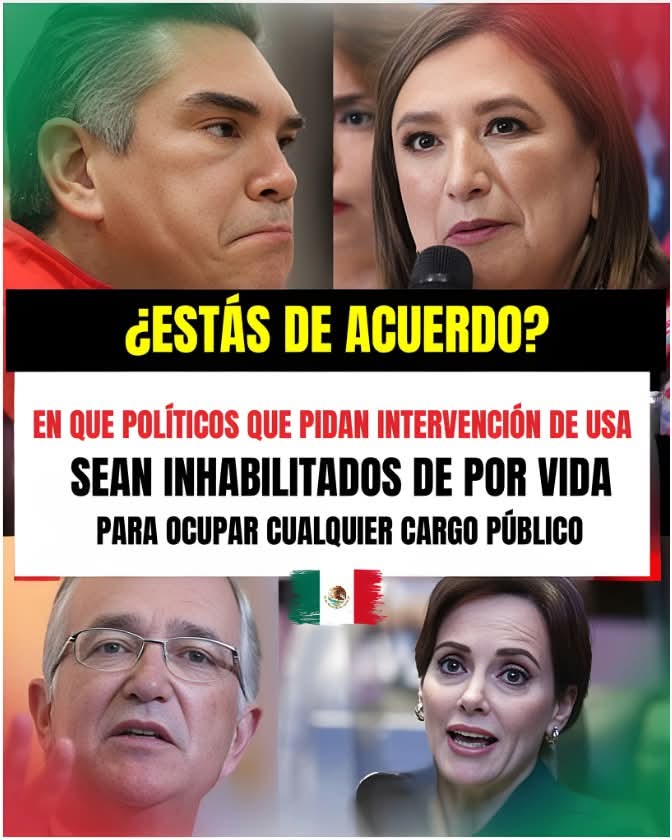 Camilla González fernández tweet media