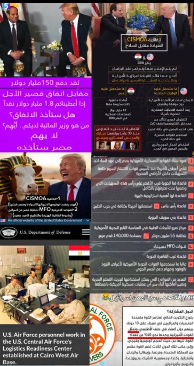الخالد ✴️ tweet media