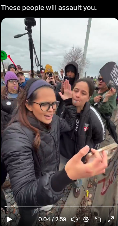 The Green Knight tweet media