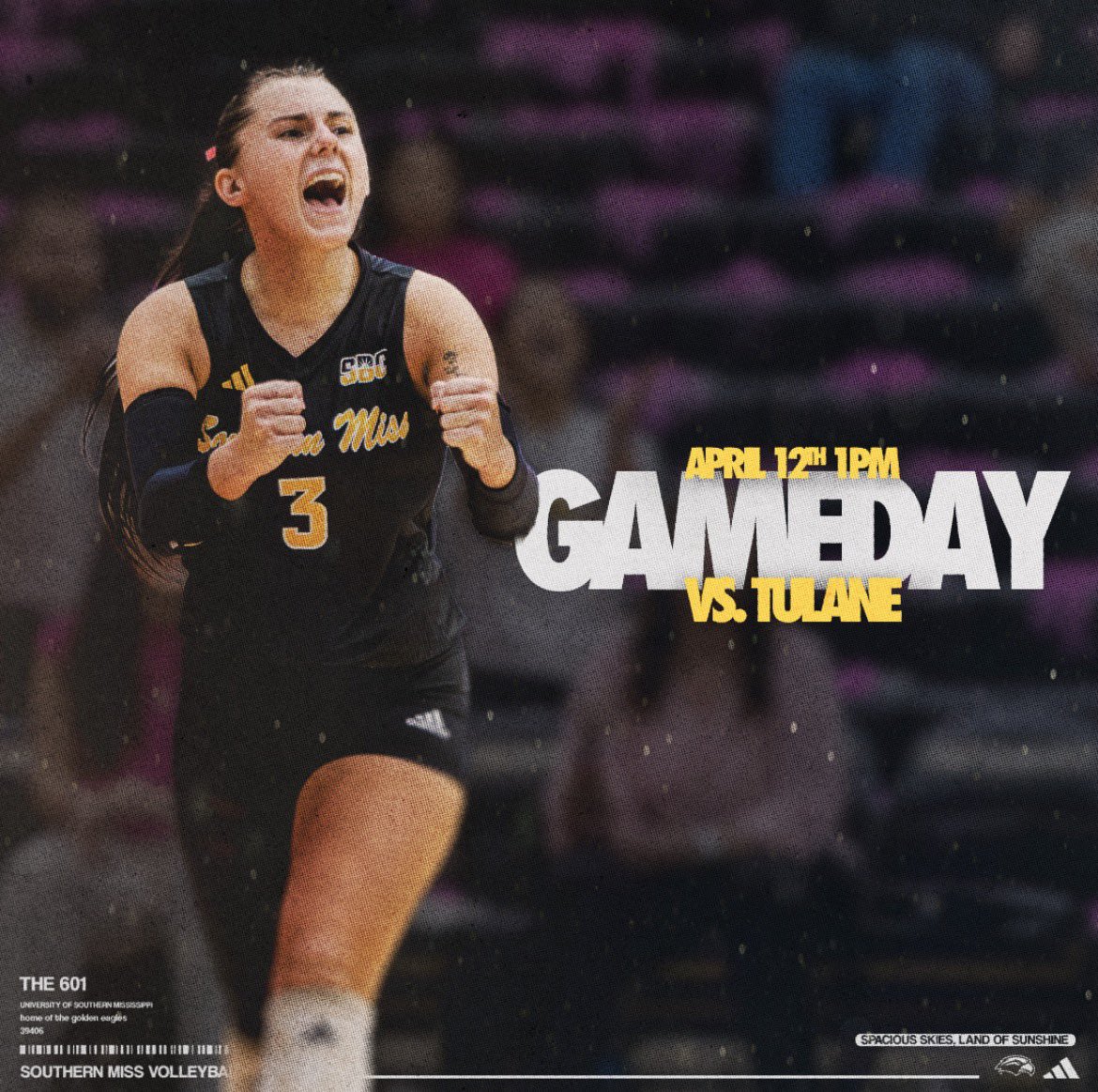Southern Miss Volleyball tweet media