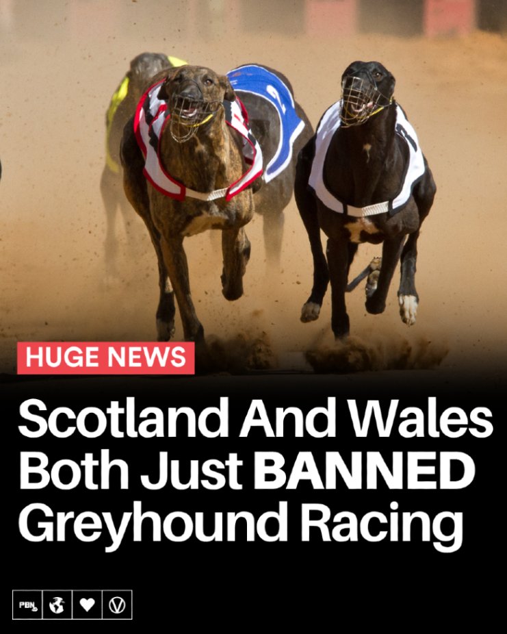 Plant Based News tweet media