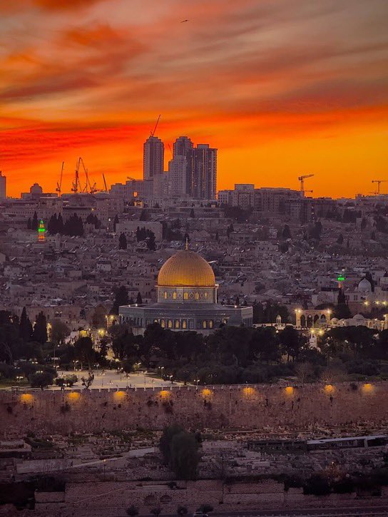 Dr. Zaid Alsalman tweet media