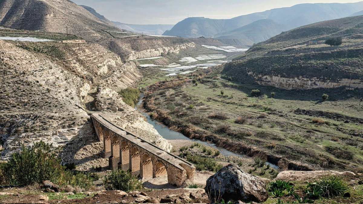 Levantine Logic tweet media