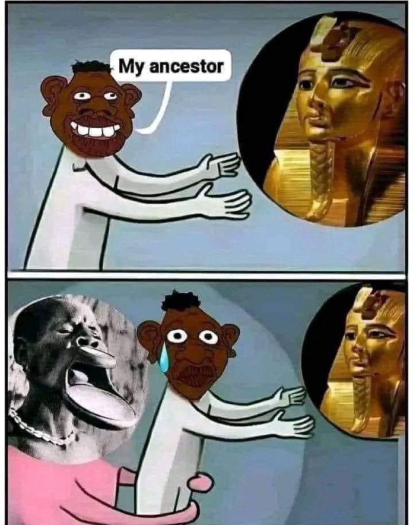 ZeroChill tweet media