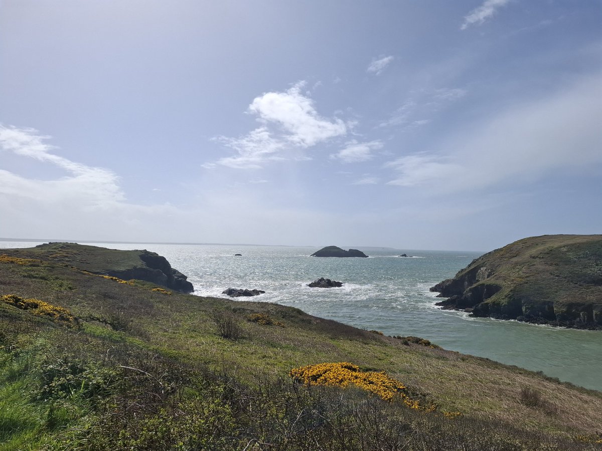 Richard_M_Owen's tweet photo. Stunning #pembrokeshire #coast #cliff walk this morning. #spring
#Atlantic #sea #solfach #solva ๐ด๓ ง๓ ข๓ ท๓ ฌ๓ ณ๓ ฟ https://t.co/A1eYoR2P09