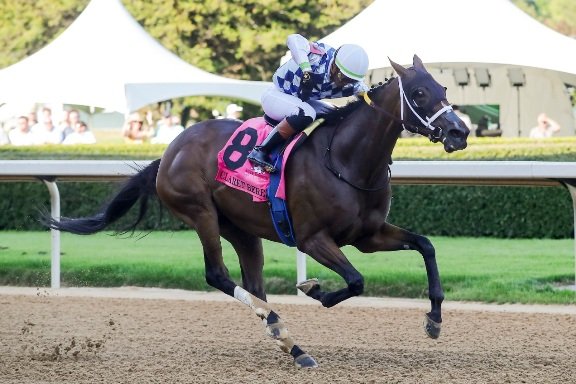 Hipismo Mundial tweet media