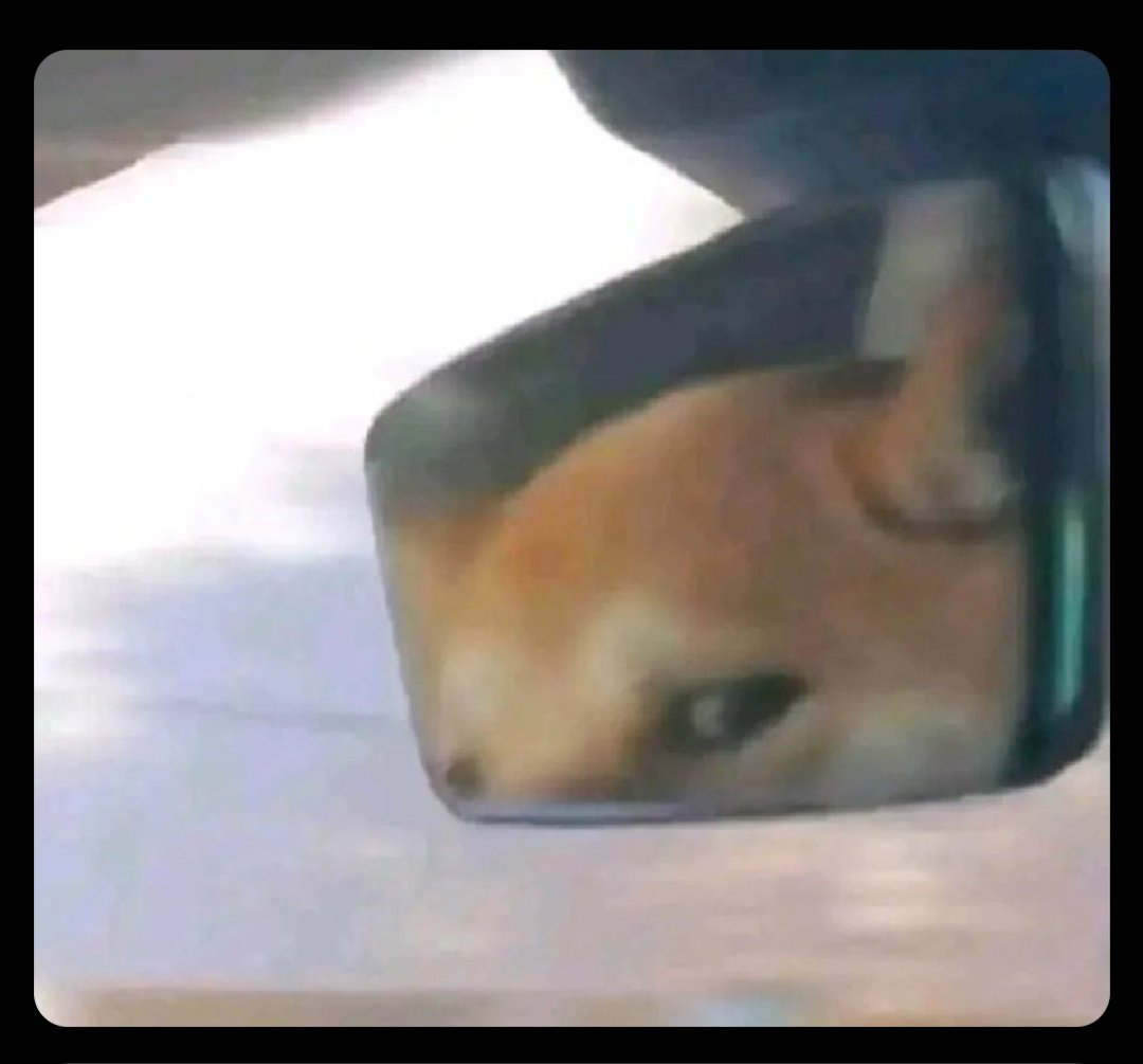 DaveedCrypt🗿 tweet media