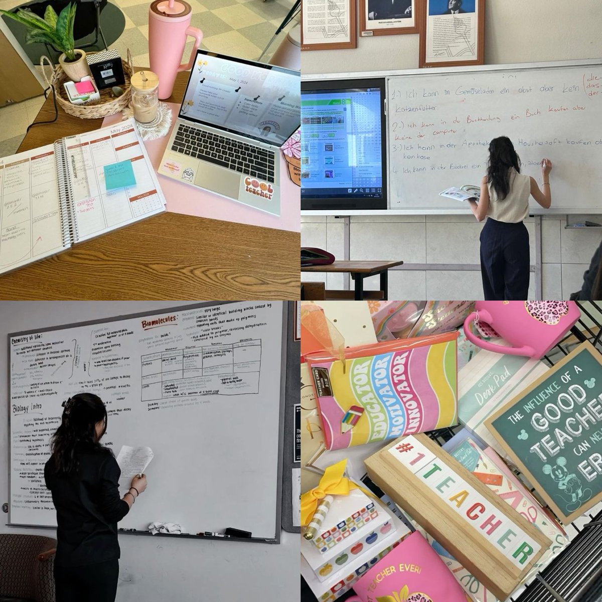 PFP vs what I study 👩‍🏫