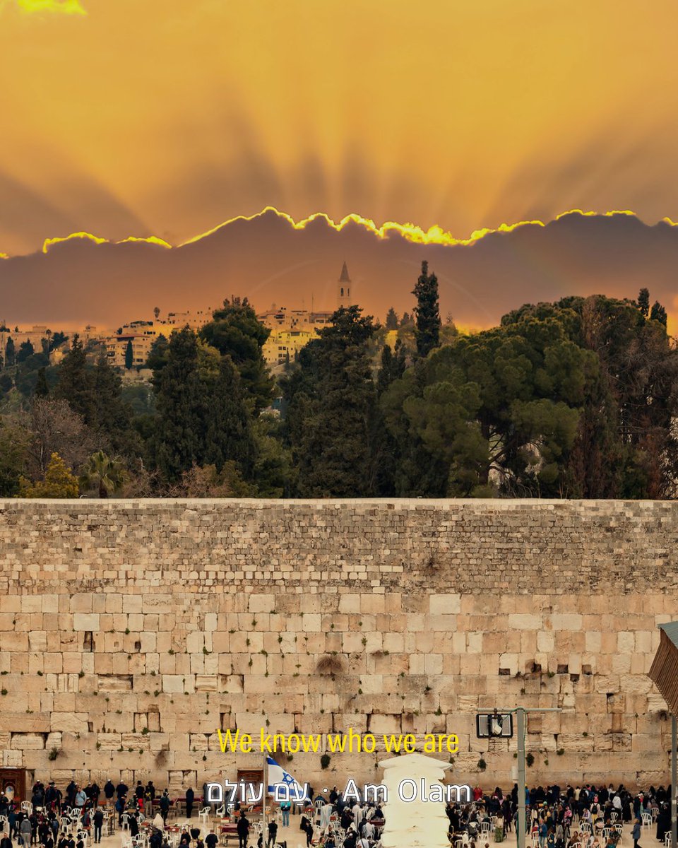 Alain Nahle | אלן נחלה 🇮🇱🇱🇧🕎 tweet media