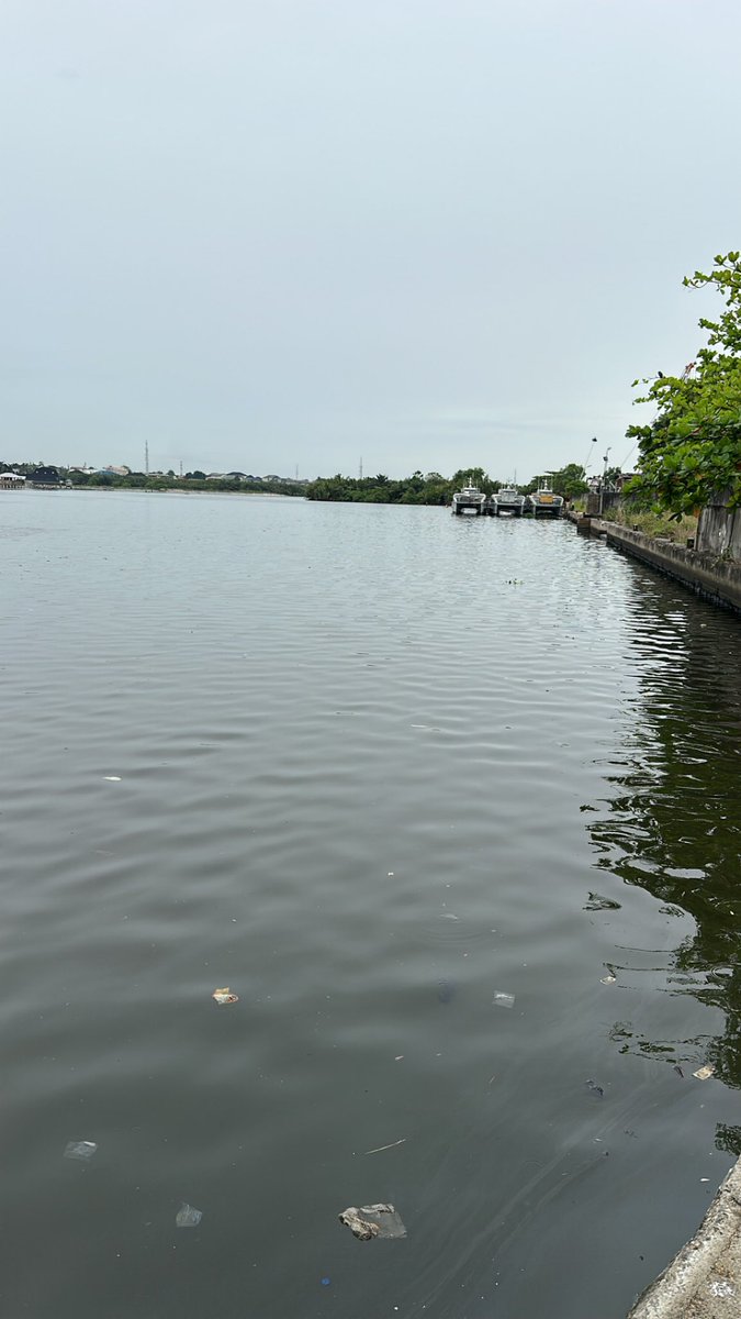 The Publicizer tweet media