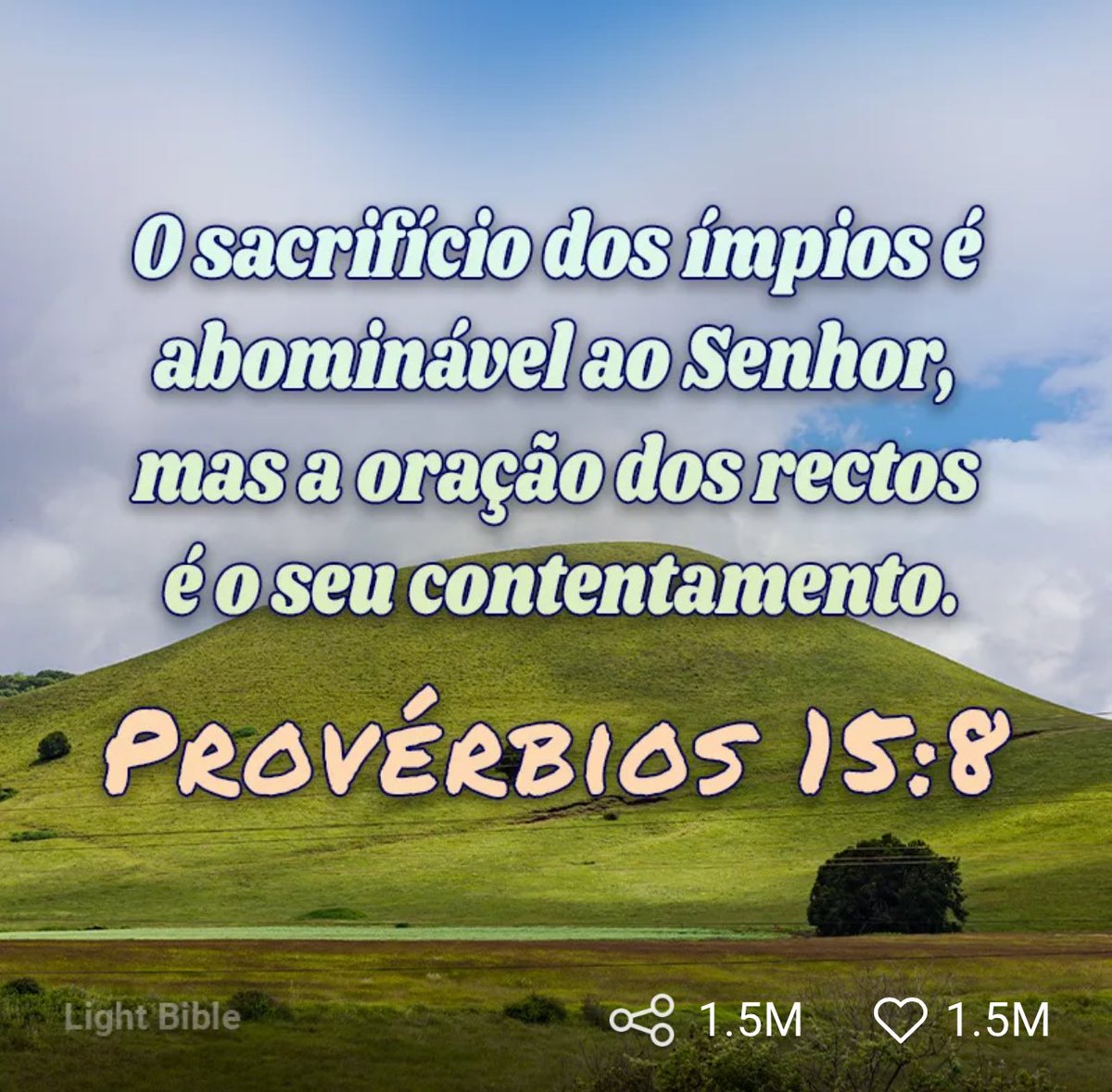 🌹Maria do Carmo🌹MADHUCANTUÁRIA (@maducantuaria) on Twitter photo 