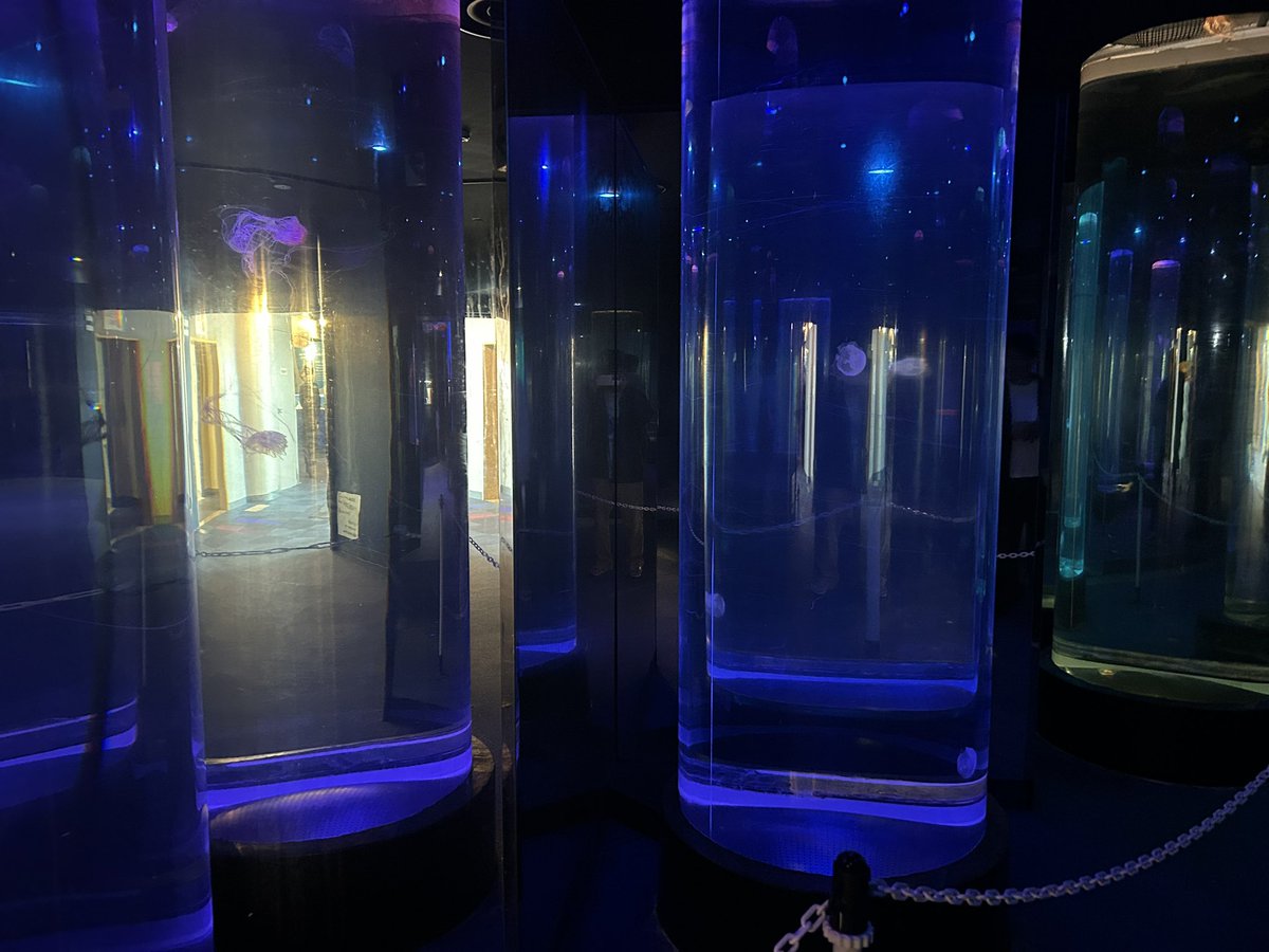 てらみかん tweet media