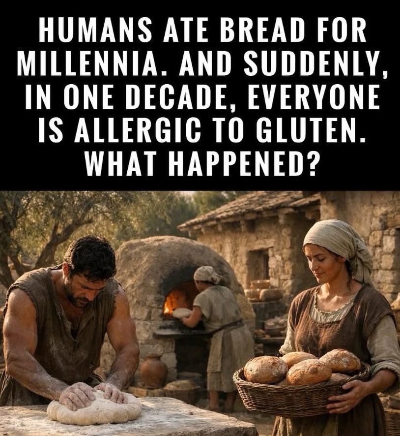 Papageorgio tweet media