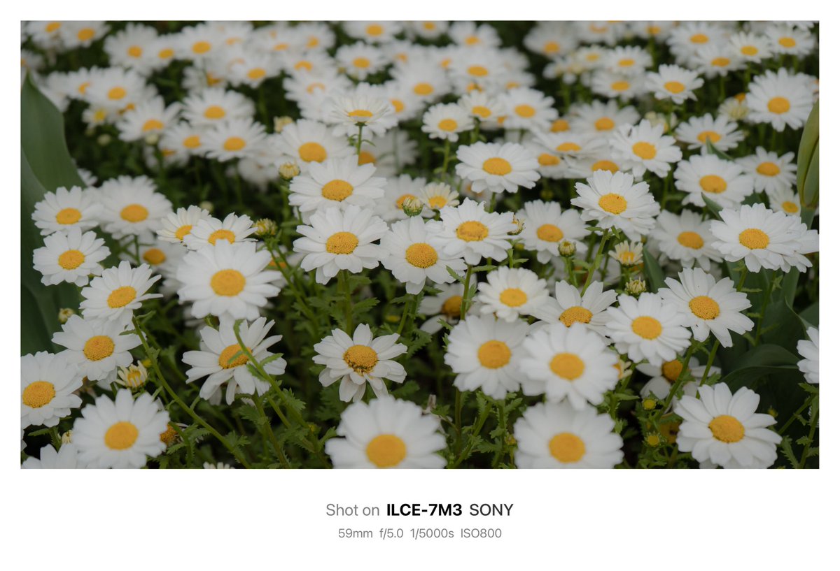 𝙆𝙄𝙍𝙄 tweet media