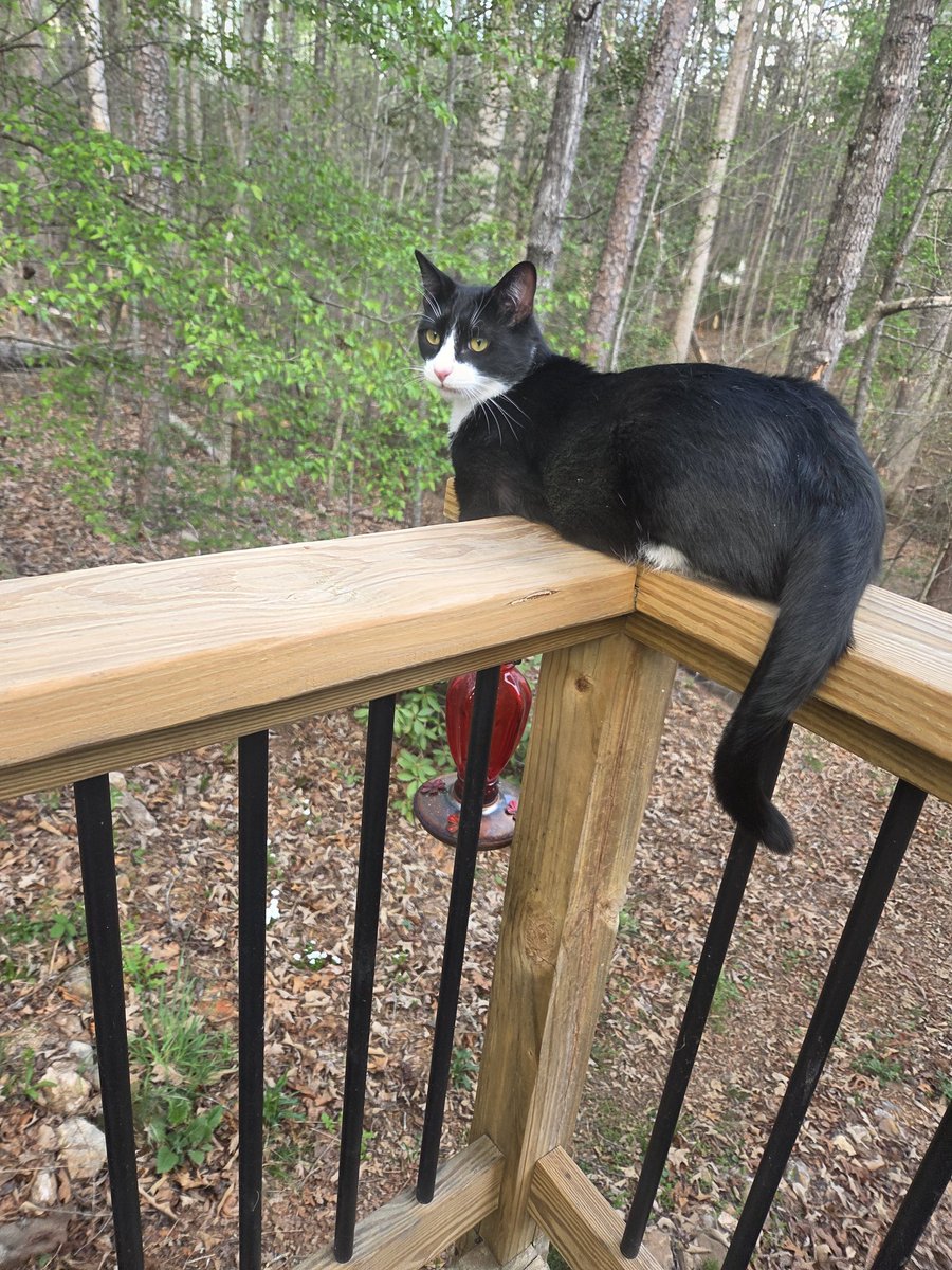 Meldoy…©²² tweet media