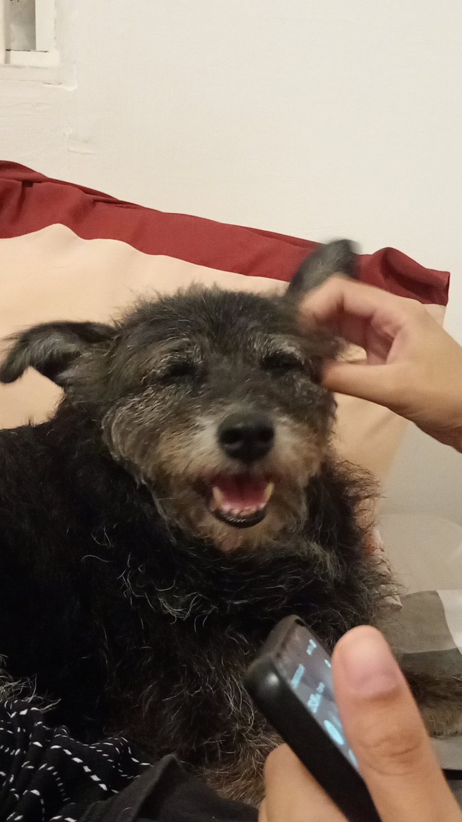 slap no flap na tcheca splash afogando o meu pau n tweet media