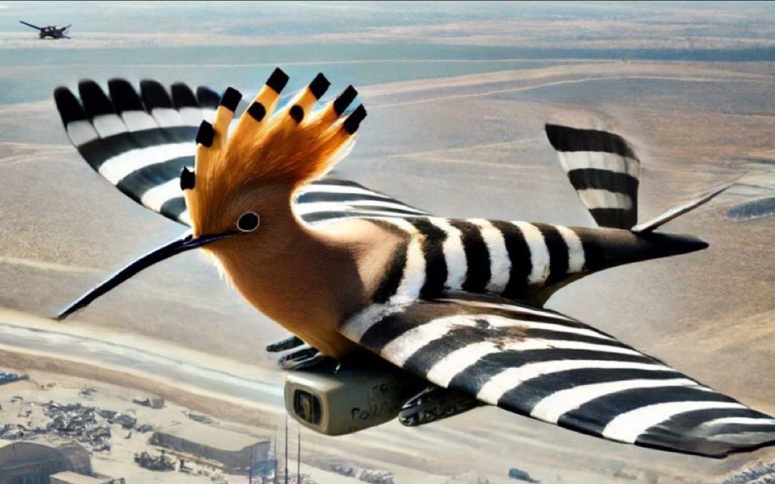 MAJED | Researcher |🐪📖 tweet media