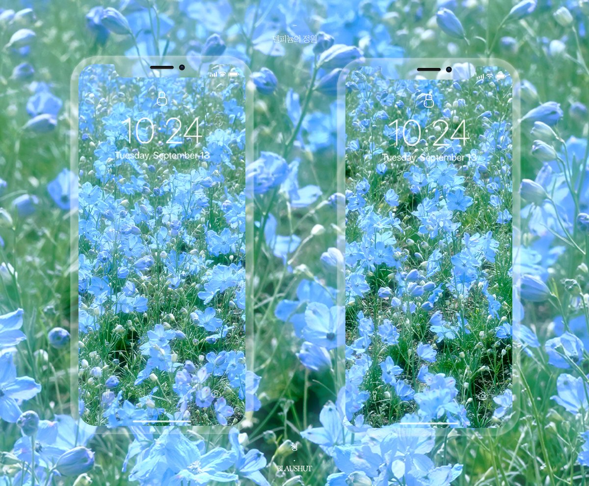 청 tweet media
