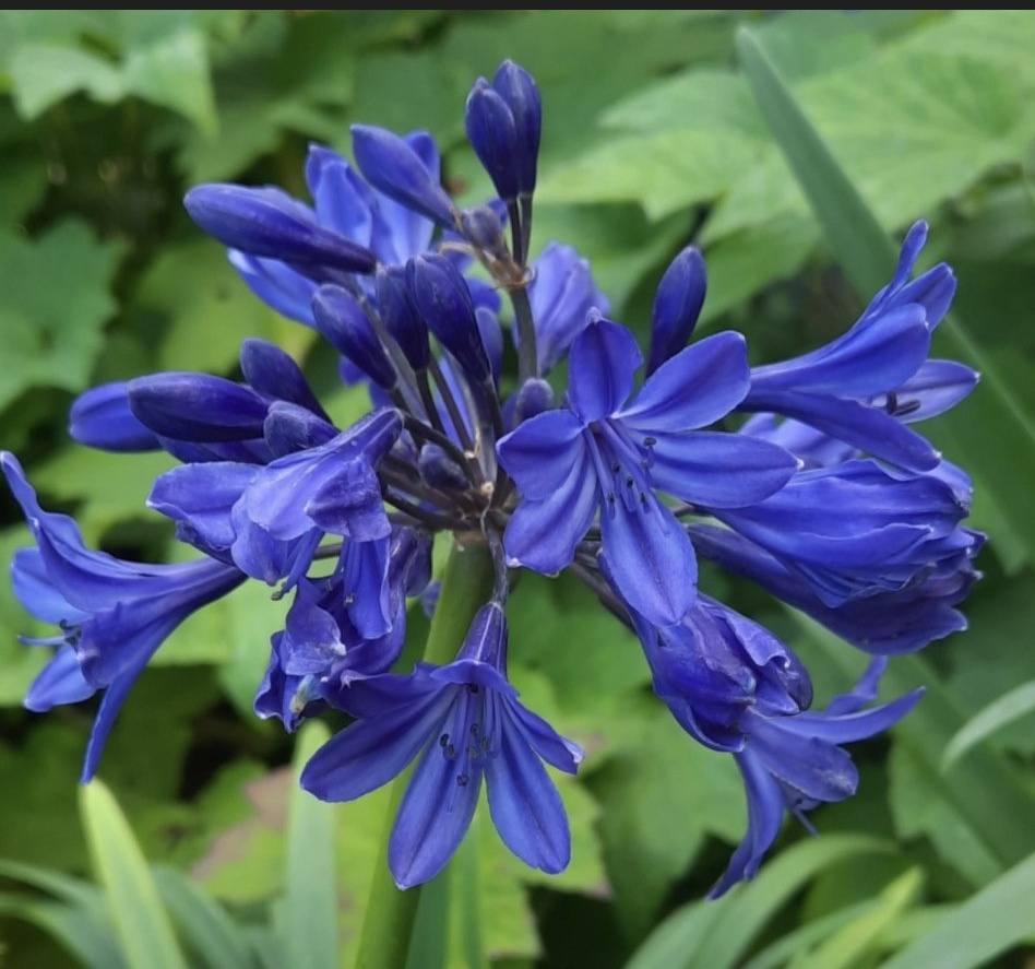 mireya starkenberg tweet media