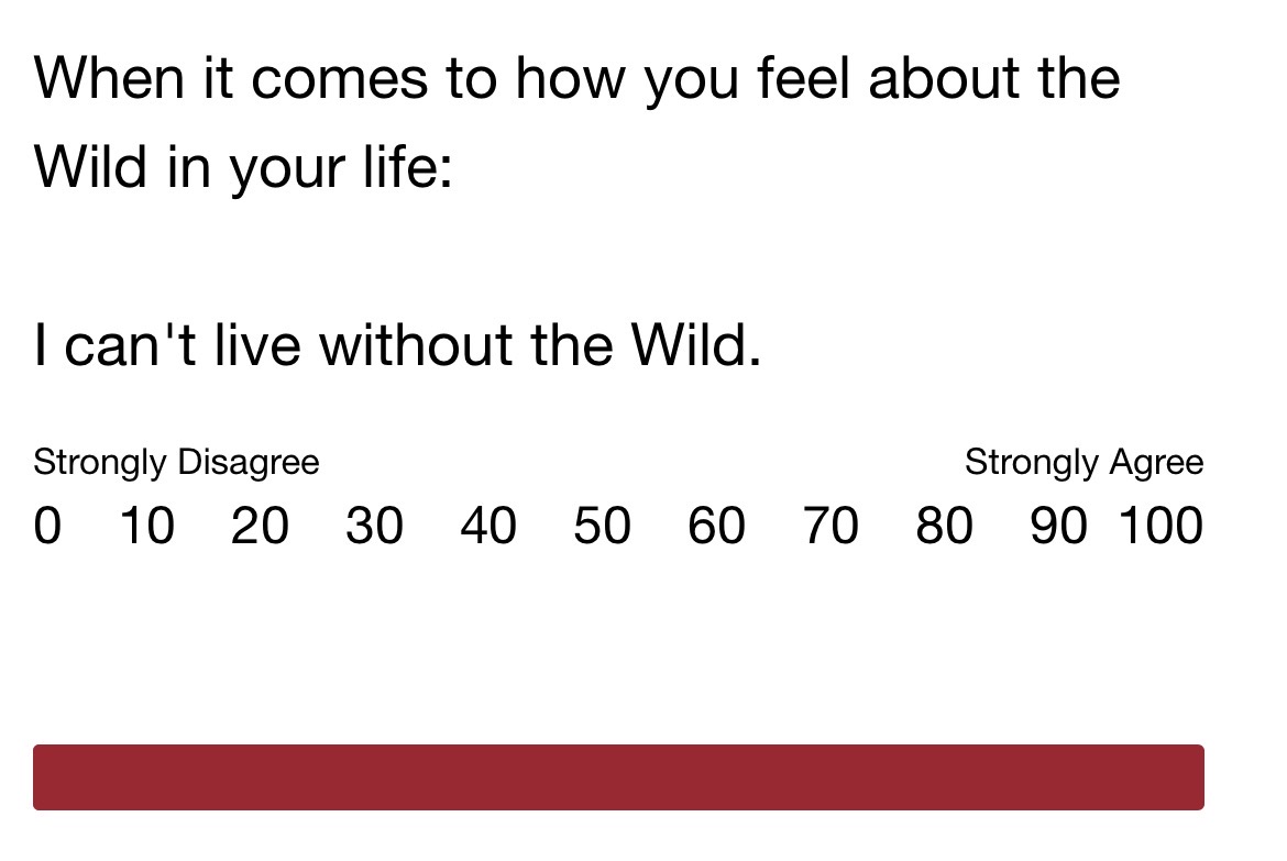 xx - felicity🏒⁹ ⁷ tweet media