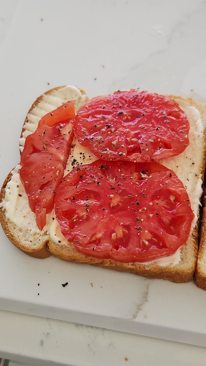 CueTea 🐾 tweet media