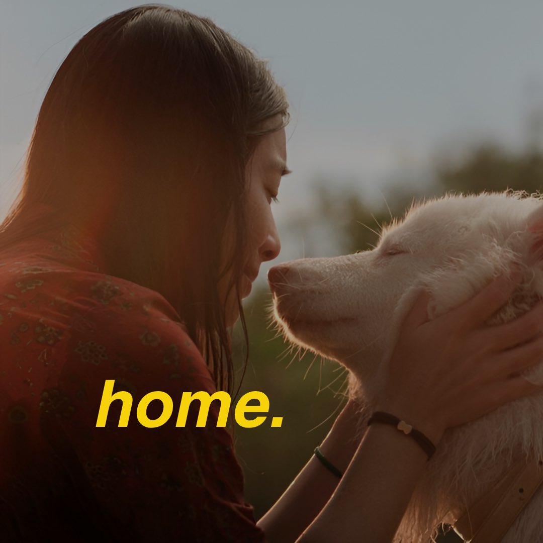 PAWS Philippines tweet media