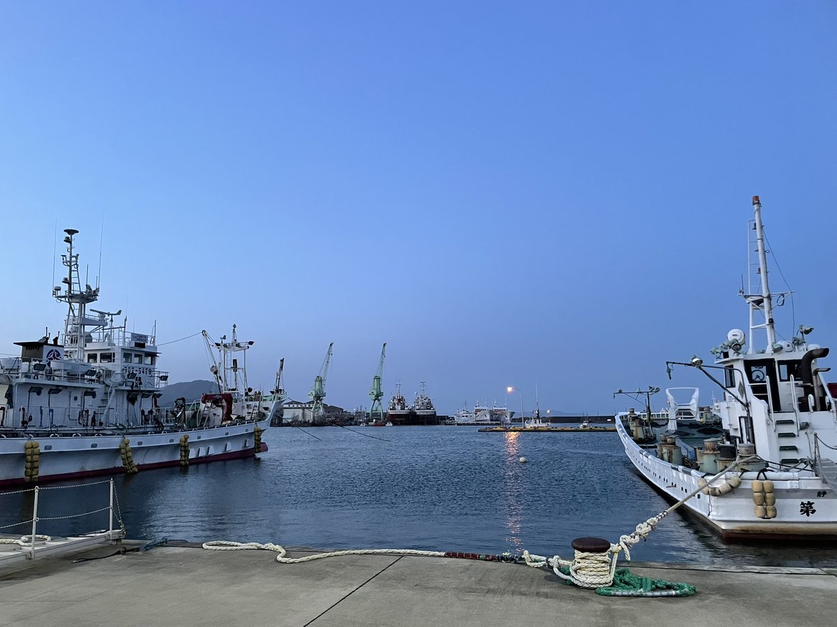 forestbk tweet media