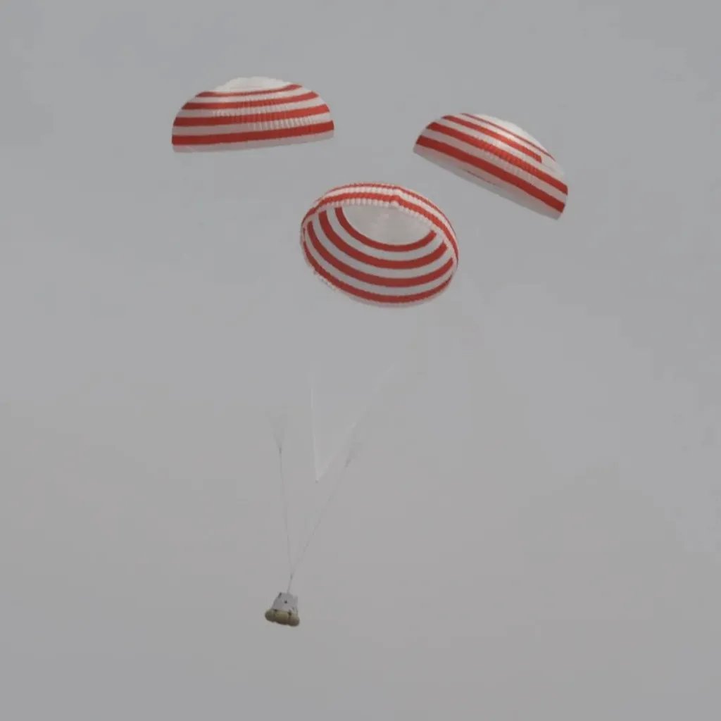 Space Koala tweet media