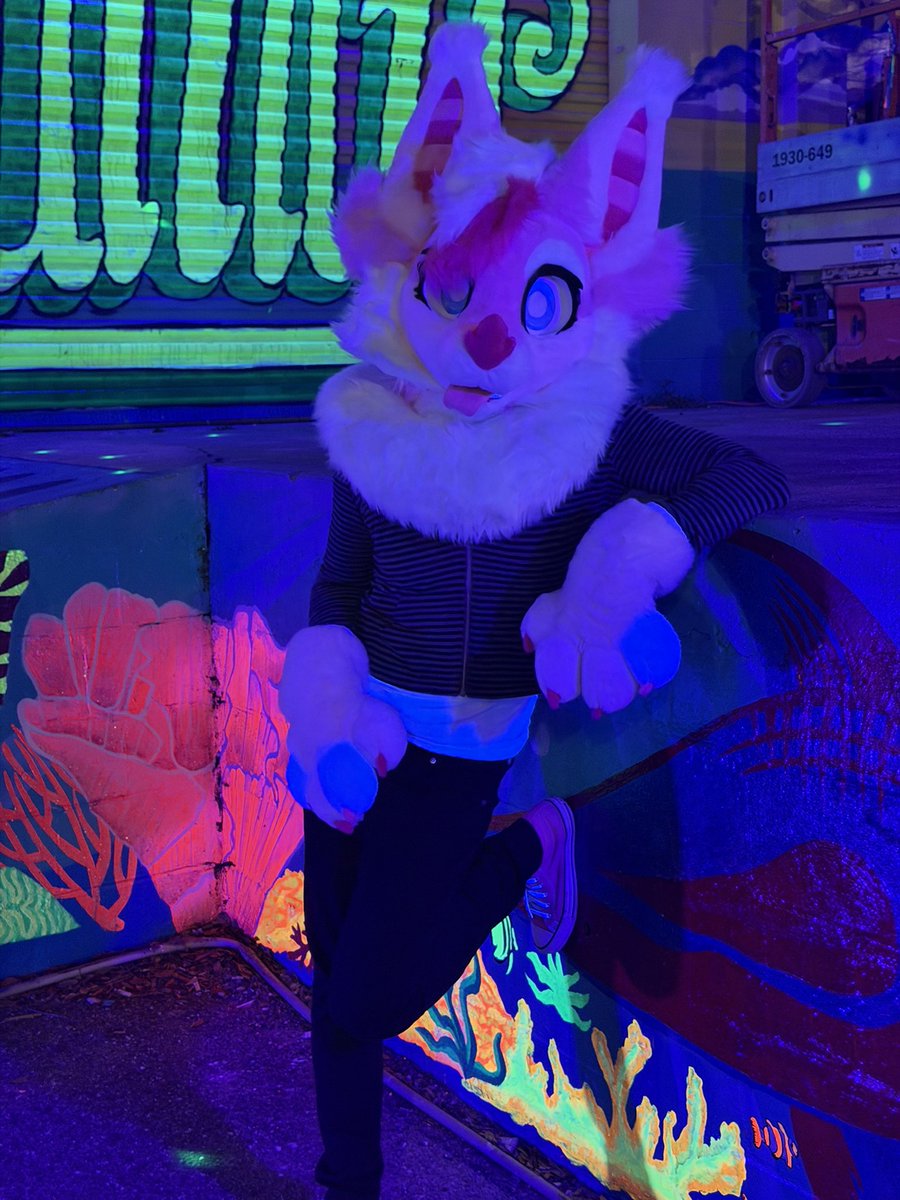 GraniteBat's tweet photo. Blacklight makes my paws so strange https://t.co/5aTeNc4OSI