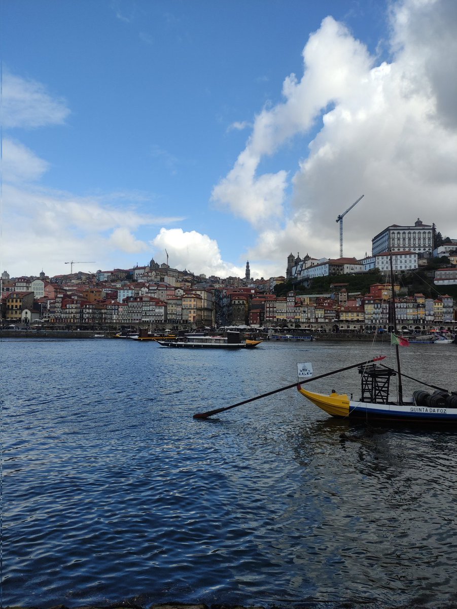 Karina Solórzano tweet media