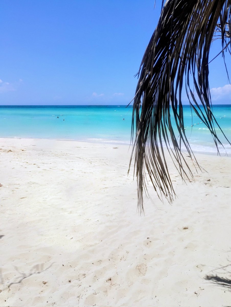 NolavA58918001's tweet image. Have a nice day 
#SpringBreak #Jamaica 🇯🇲