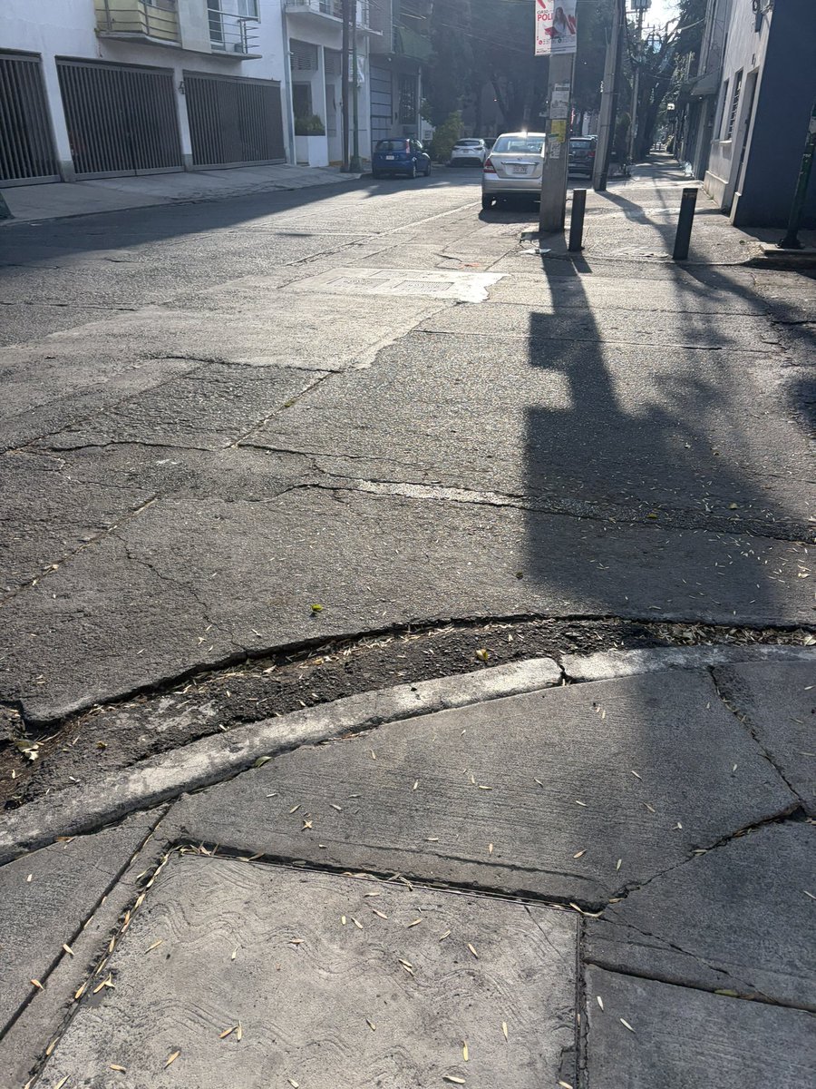 Reportandocdmx👀 tweet media