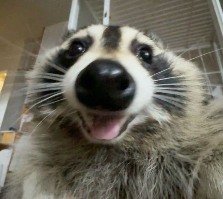 𐂯 ‧₊˚ BRADYY tweet media