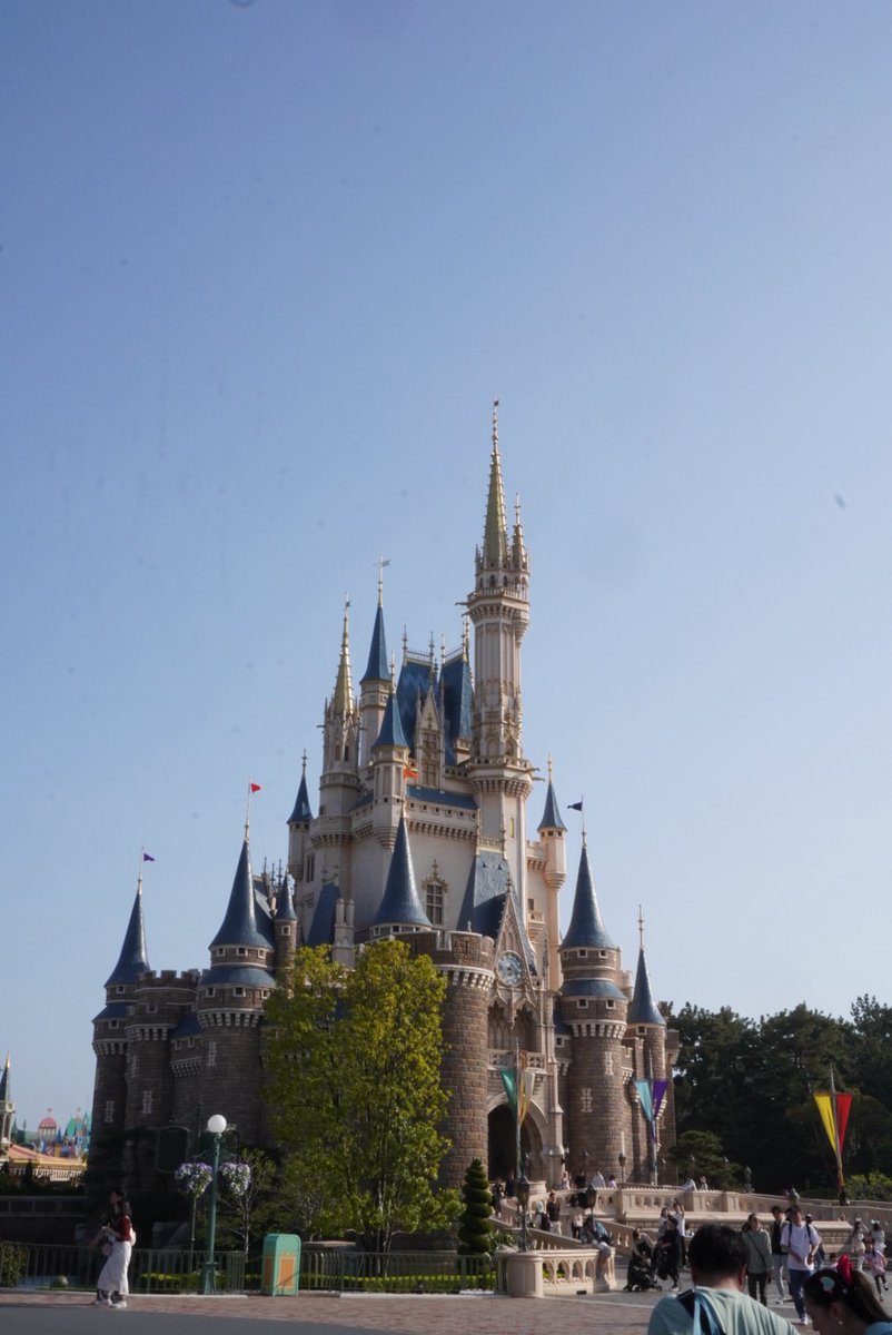 EyeTail-あいて〜る🦔 tweet media