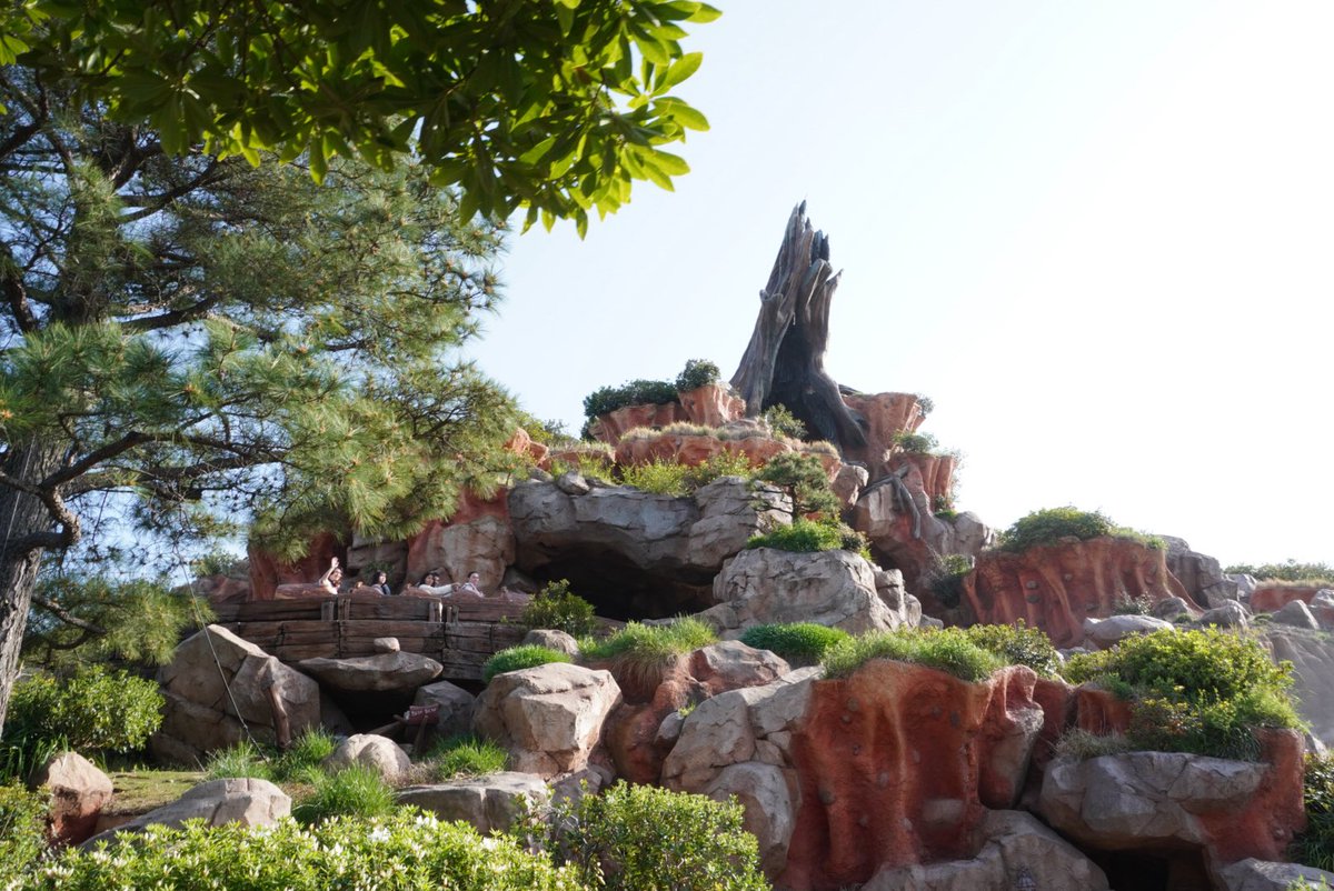 EyeTail-あいて〜る🦔 tweet media