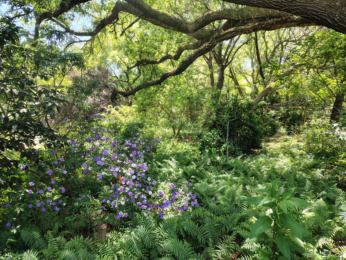 Lifesab5138's tweet image. #photography #milton #psc