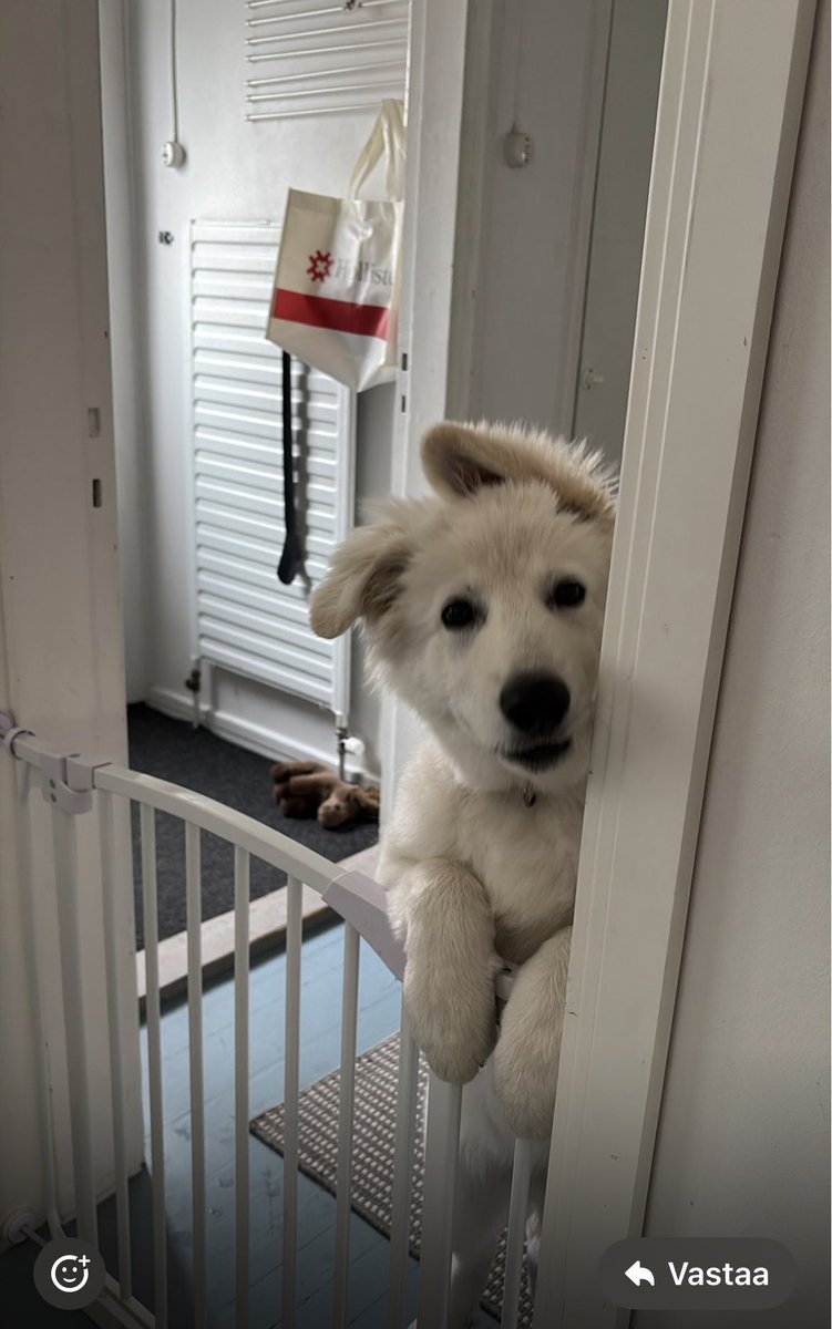 Juha Merentie 🇺🇦🇫🇮🇩🇪 tweet media