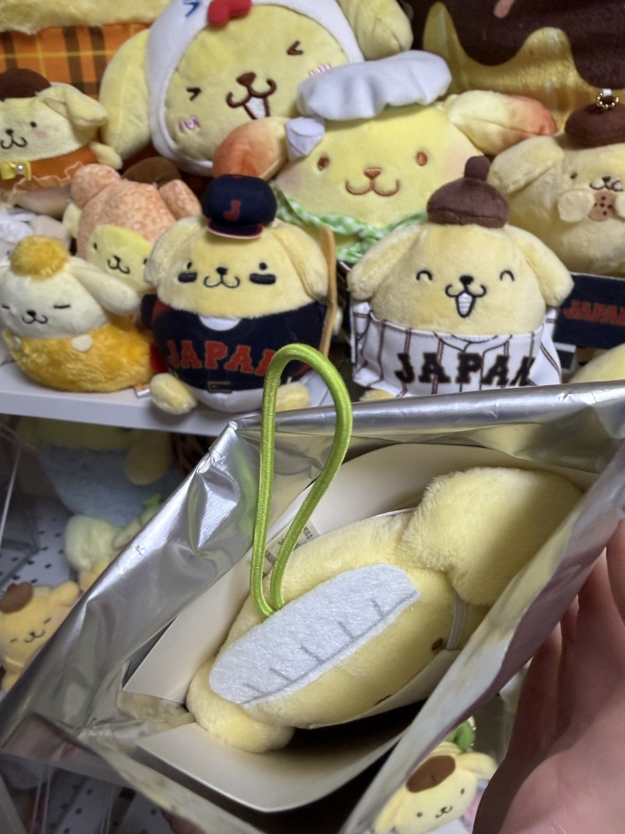 まいき🐰ྀི🌼【白兎代表】ⓜfaM💛🤎 tweet media