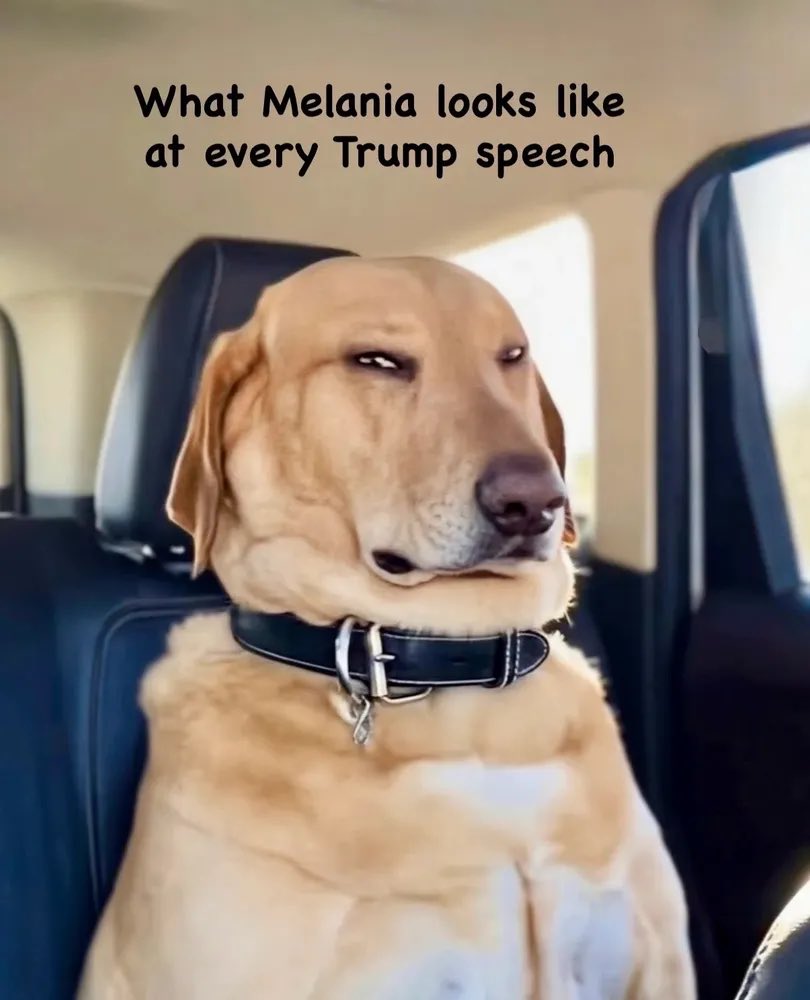 MAVERICK X tweet media