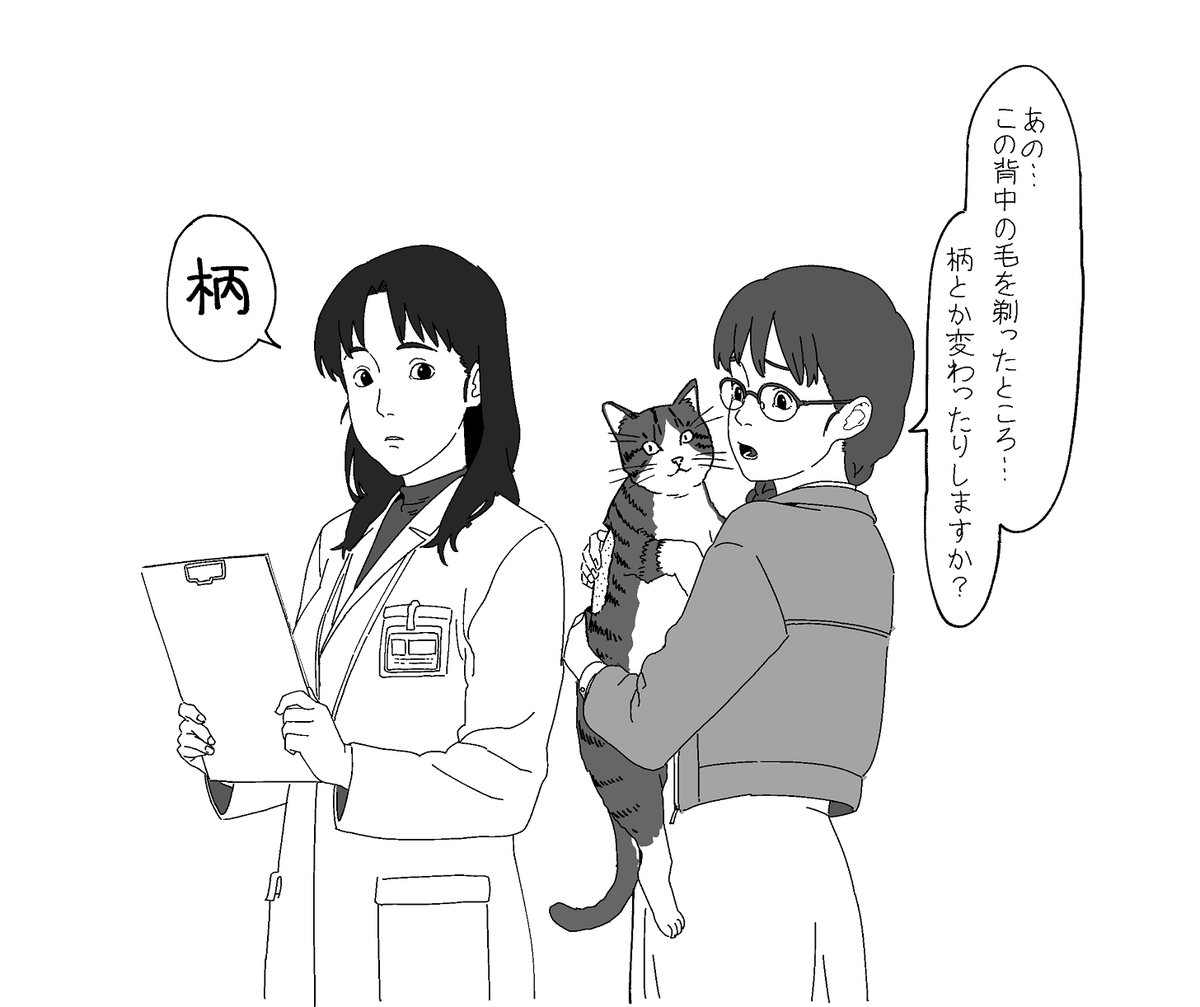 報道番組で動物病院の密着取材をやっていて、治療で背中の毛を剃られた猫の飼い主が「柄、変わってしまったりしますか?」と心配してたのが、なんか言い方が面白かった。 