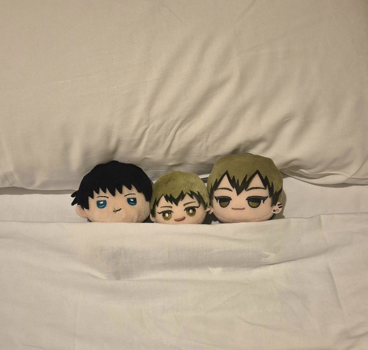 오철범 tweet media