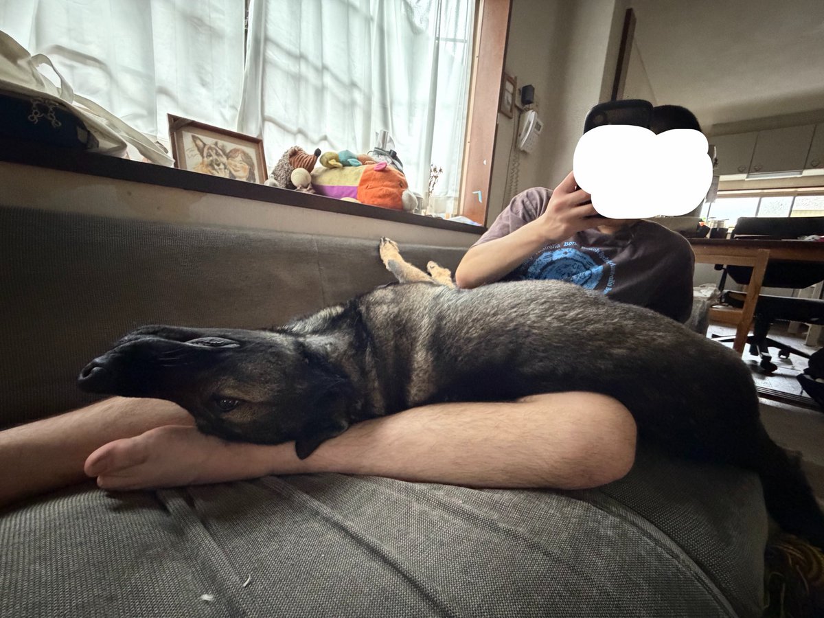 Nachobillyanna tweet media